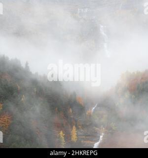 Misty Autumnal tempo in Val di Pineta Foto Stock