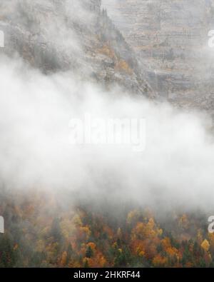 Misty Autumnal tempo in Val di Pineta Foto Stock
