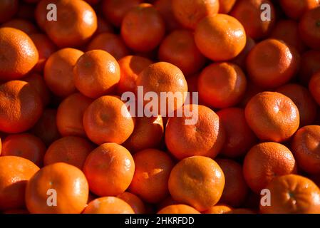 Mazzo di arance di mandarino fresche sul mercato. Foto Stock