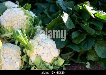 Telaio completo colpo di Cavolfiori e broccoli Foto Stock