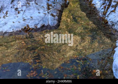 I montoni sloveni si riflettono nel fiume Soča, nelle ore mattutine dell'apls, in Slovenia Foto Stock