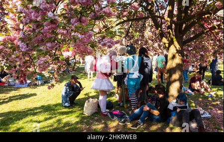 SCEAUX, FRANCIA - 20 APRILE 2019: I giovani in ANIME cosplay vestito alla celebrazione Cherry Blossom Hanami nel parco Sceaux vicino Parigi, Francia Foto Stock