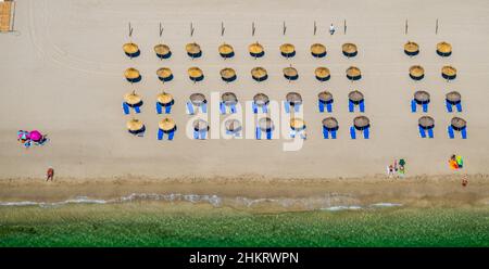 Vista aerea, spiaggia e spiaggia con ombrelloni e sdraio alla spiaggia Platja d'Alcúdia, Alcúdia, Maiorca, Isole Baleari, Spagna, pannarello Foto Stock