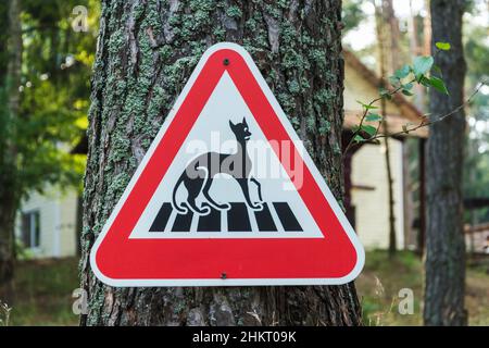 Cartello di avvertimento attenzione dei gatti, cartello giocoso, cartello stradale triangolare rosso Avvertenza sui gatti. Foto Stock