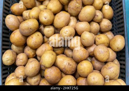 Patate novelle sul banco del negozio, tema vegetale, patate fresche biologiche. Foto Stock