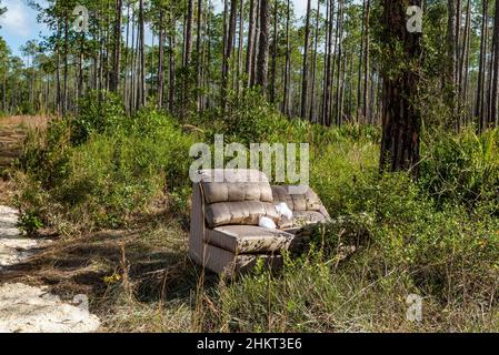 Un divano abbandonato lasciato accanto a una strada sterrata in un Tiger Bay state Park, Florida, USA. Foto Stock