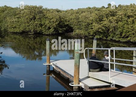 Una coppia si rilassa su un molo galleggiante situato in una palude di mangrovie della Florida in una soleggiata giornata invernale. Foto Stock