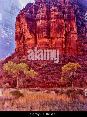 Glorious Zion National Park Landscape, Utah, Stati Uniti Foto Stock