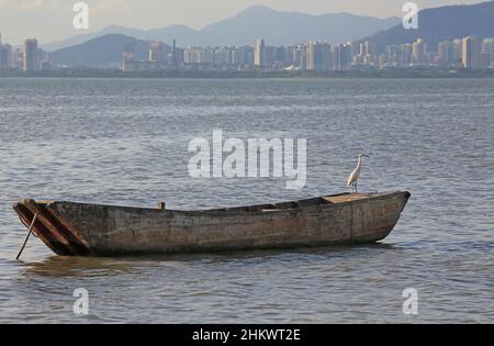 vista sul mare dello skyline di shenzhen con la barca e la spiaggia di fango da hong kong Foto Stock