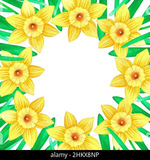 Un telaio di naffodils. Acquerello vintage illustrazione. Isolato su sfondo bianco. Per il tuo design. Adatto per cartoline, inviti di nozze. Foto Stock