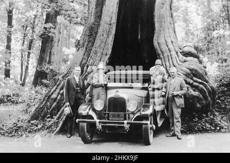 Fotografia vintage in bianco e nero di persone in piedi accanto ad un'auto che ha fatto il suo ingresso nell'albero cavo in Stanley Park ca. 1920, Vancouver, British Columbia, Canada Foto Stock