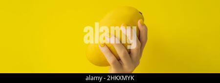 Mano con un manicure giallo che tiene un mango giallo maturo su UN BANNER giallo di fondo, FORMATO LUNGO Foto Stock