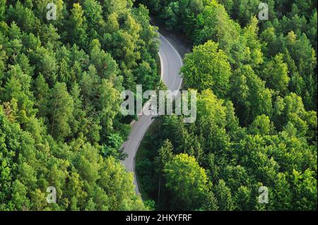 Un ariel colpo di una strada stretta curvilinea nel mezzo della foresta circondata da alberi. Foto forma bollatura ad aria calda. Foto Stock