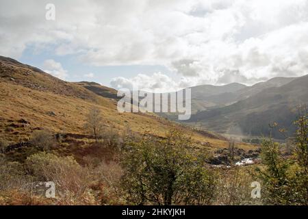 Il Burn Buchan scende verso Loch Trool a Glen Trool, vicino a Newton Stewart Dumfries e Galloway Scozia Foto Stock