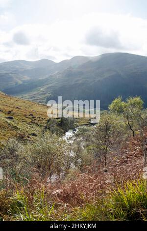 Il Burn Buchan scende verso Loch Trool a Glen Trool, vicino a Newton Stewart Dumfries e Galloway Scozia Foto Stock