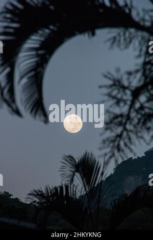 Moonset con silhouette di alberi nel quartiere di Copacabana Rio de Janeiro, Brasile. Foto Stock