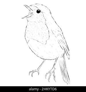 Robin Bird Line Art Logo che è matita disegnata su sfondo bianco Foto Stock