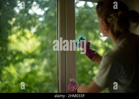 La ragazza lava la finestra nell'appartamento. La donna pulisce la casa. Mia figlia pulisce la polvere. Mia moglie lava il bicchiere con detergente. Mani dentro Foto Stock