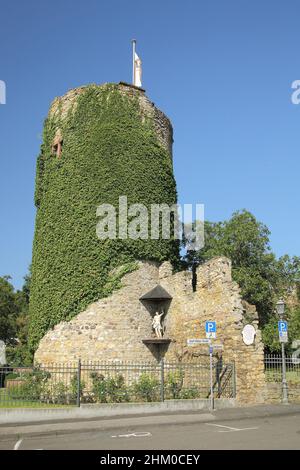 Torre Sebastian con edera in Eltville, Rheingau, Assia, Germania Foto Stock