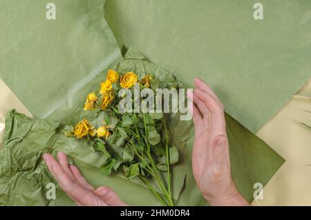 Due mani di uomini abbracciano fiori appassiti. Un bouquet di rose gialle morenti su sfondo verde. Messa a fuoco selettiva. Foto Stock