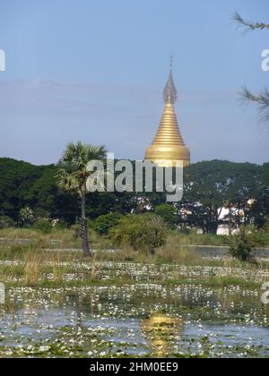 Myanmar Birmania - bella scena sulle strade per e da Mandaly con fiori bianchi, palme e una pagoda d'oro nel backgound, specchiando tra fiori Foto Stock