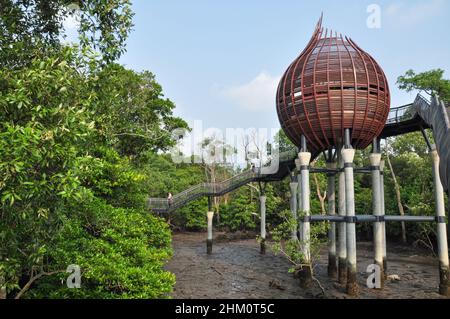 Sungei Buloh Wetland Reserve in Singapore Foto Stock
