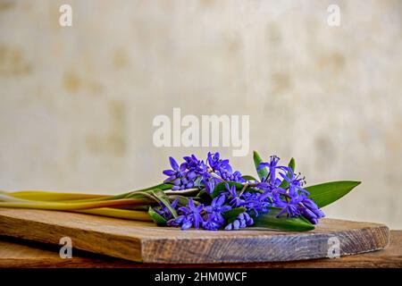 Bouquet di fiori blu su un vecchio asse di legno. Stile di vita rustico. Primo piano. Spazio di copia. Messa a fuoco selettiva. Foto Stock