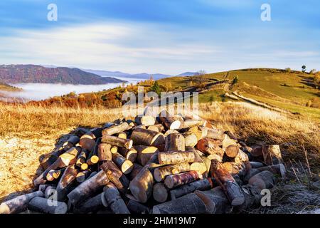 Mucchio di legna da ardere tritata giace su erba secca in altopiano contro lontane montagne circondate dalla nebbia sotto il cielo blu al tramonto d'autunno soleggiato Foto Stock