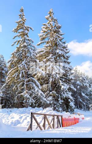 Bansko, Bulgaria, pini di neve lungo la strada sciistica e ponte Foto Stock