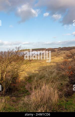 Gullane Beach per passeggiate a Gullane, East Lothian, Scozia, Regno Unito Foto Stock