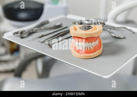 Mock-up di mandibole umane che si posa tra utensili dentali. Primo piano del modello dentato nel gabinetto medico. Foto di concetto sul tema dentale. Foto Stock