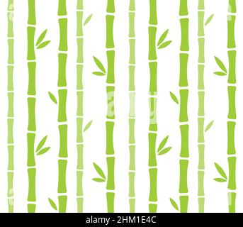 Disegno di foresta di bambù senza giunture. Gambi e foglie di bambù verde su sfondo bianco. Semplice illustrazione vettoriale in stile cartoon. Illustrazione Vettoriale