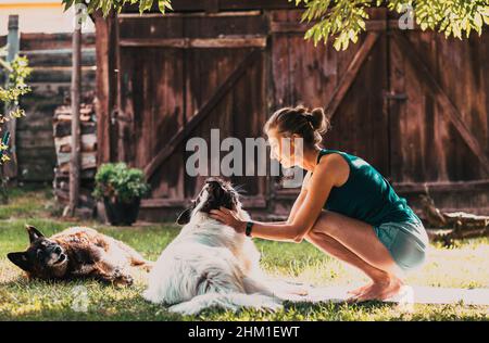 donna che gioca con i cani nel cortile Foto Stock