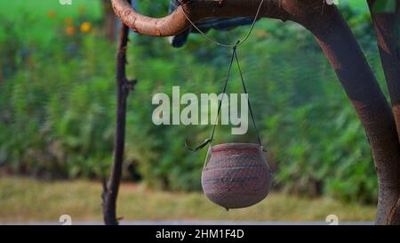 Pentola appesa di acqua potabile su un ramo di albero per gli uccelli assetati. Verde campo paesaggio con vaso vuoto. Foto scattata da una fattoria nei pressi di Reengus. Foto Stock