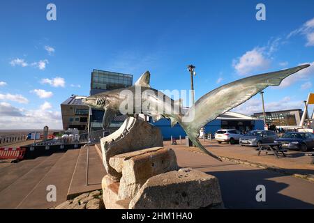 Scultura di uno squalo grigio della barriera corallina al di fuori di un centro di vita marina Foto Stock