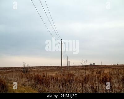 poli con fili elettrici stanno in campo, in autunno Foto Stock
