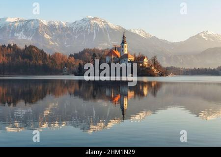 Splendida vista sul lago di Bled, il più famoso lago sloveno e l'isola di Bled con il pellegrinaggio Chiesa dell'Assunzione di Maria e del castello di Bled all'alba Foto Stock