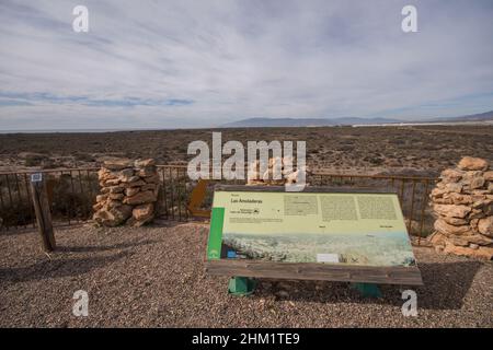 Parco naturale Cabo de Gata, paesaggio arido, area desertica Amoladeras con alberi di agave e vegetazione sparsa. Almeria, Andalusia, Spagna. Foto Stock