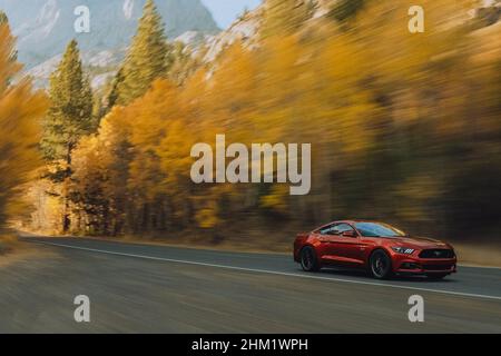 Red Ford Mustang GT in azione Foto Stock