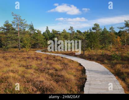 Passeggiata sul lungomare in legno che si snoda attraverso il Black Moor nelle Rhoen Mountains Germania in Un bellissimo giorno d'autunno soleggiato con un cielo blu chiaro e alcune nuvole Foto Stock