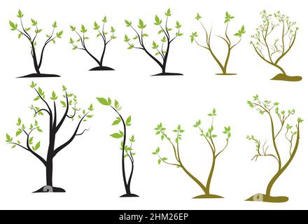 un insieme di diversi alberi vettoriali in tronchi marroni e neri Illustrazione Vettoriale