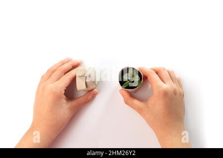 come fare piante biodegradabili mini da rotolo di carta igienica, piantatura in pentole di tubo di carta, riciclaggio idee artigianali per i bambini, progetto creativo Foto Stock