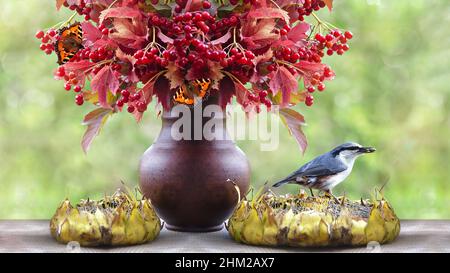 Un nuthatch con semi nel suo becco si siede su un girasole adagiato su un tavolo nel giardino. Concetto di alimentazione degli uccelli, fuoco selettivo Foto Stock