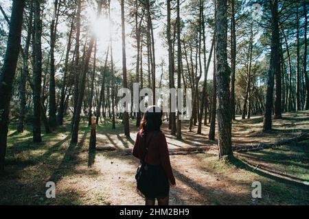 Una giovane donna al centro di una foresta che guarda lontano dalla fotocamera con spazio copia Foto Stock