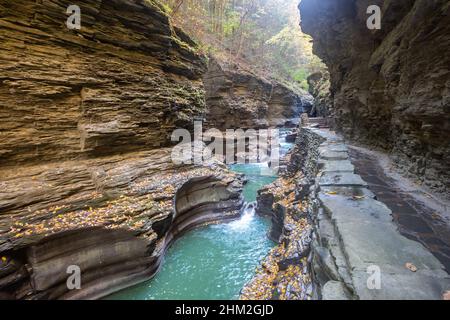 Watkins Glen State Park in Upstate New York ha più di 800 passaggi su Gorge Trail. Foto Stock