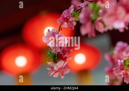 Fuoco selettivo di fiore di ciliegio finto come decorazione per la festa cinese di Capodanno Foto Stock