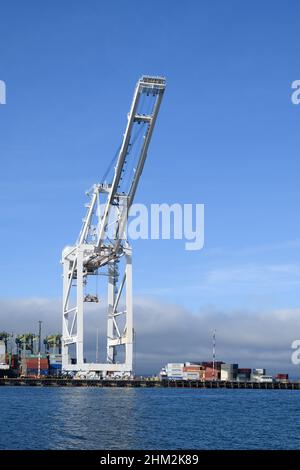 Seattle - 06 febbraio 2022; SSA terminal gru sul porto di Seattle contro il cielo blu. Foto Stock