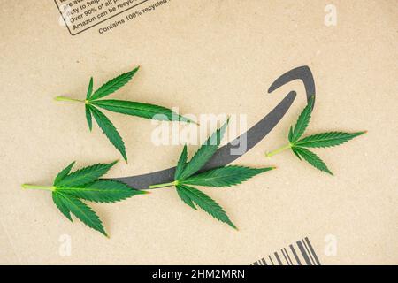 Vienna Austria June.20 2021: Editoriale: Amazon.com ora permette ai suoi lavoratori di usare la depenalizzazione della cannabis medicinale legale Foto Stock