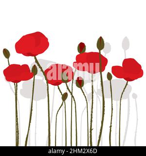 Papaveri stilizzati disegnati a mano su sfondo bianco Illustrazione Vettoriale