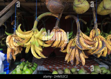 Lumajang, Indonesia - 13 gennaio 2022: Pisang Tanduk o Pisang Agung e Pisang Mas Kirana venditore, in un mercato tradizionale. Ottimo per lo sfondo Foto Stock